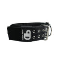 Black nylon sport dog collar with metal buckle, D-ring, and eyelet studs