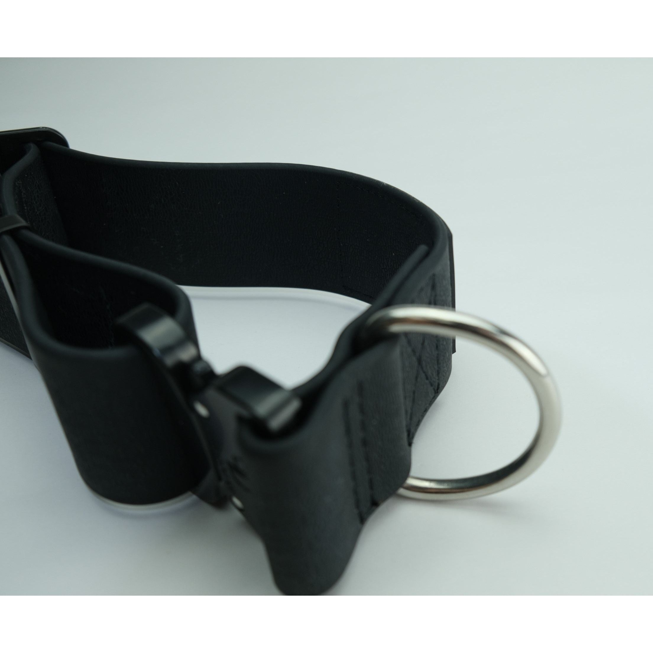 Black dog collar with wide strap and metal D-ring, quick-release hardware