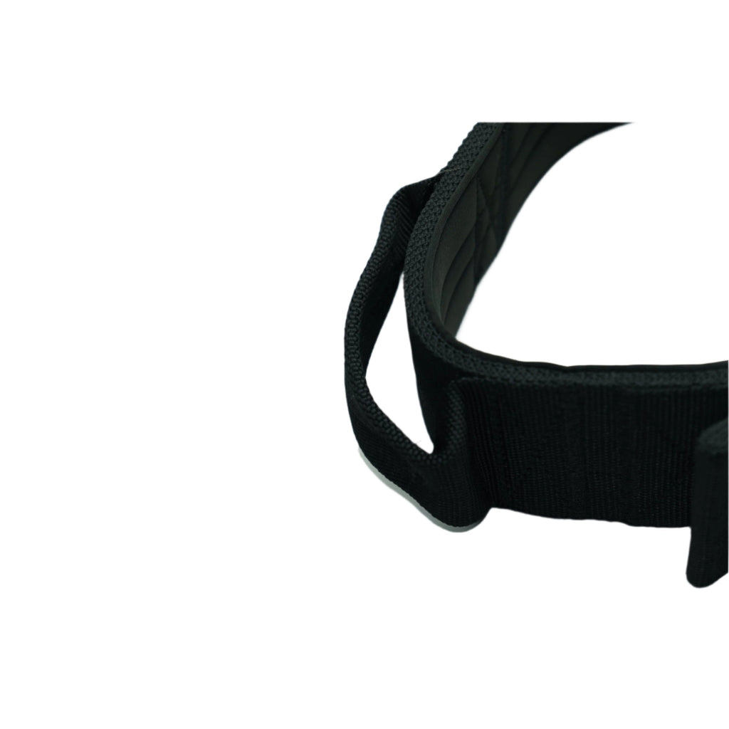Black nylon dog collar strap with visible stitching and reinforced edge