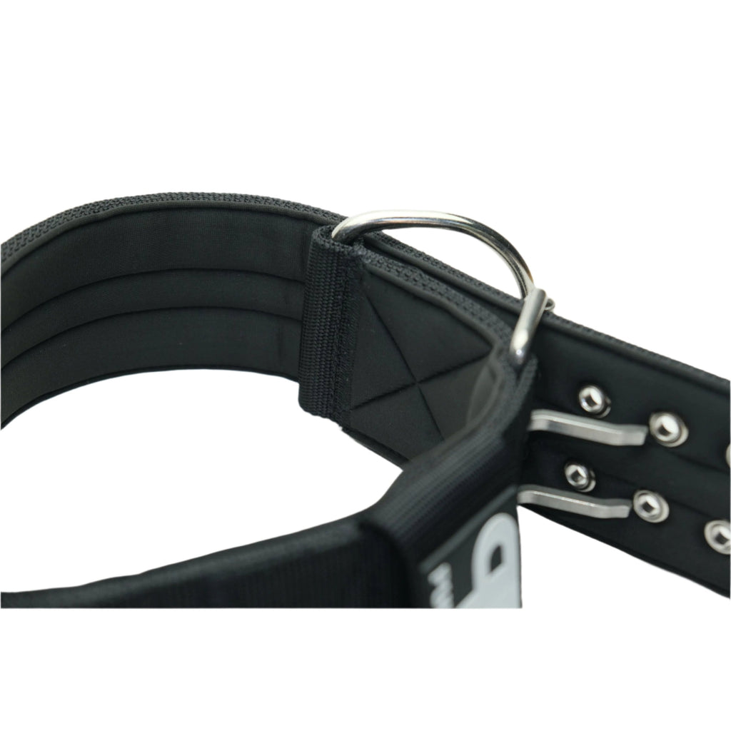 Black nylon collar showing metal buckle rings and studded grommets