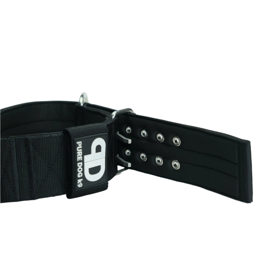 Black nylon sport collar with D-ring and metal eyelets, studded strap