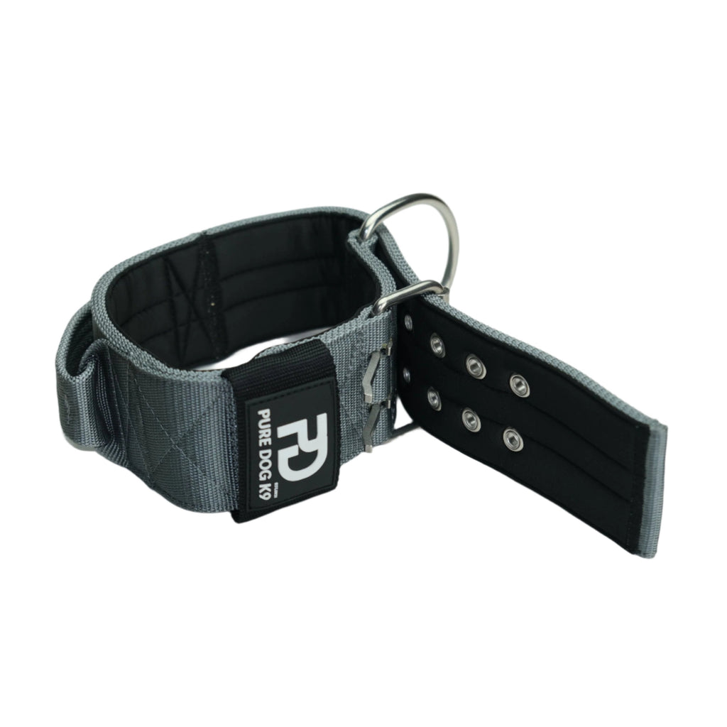 Grey sport dog collar with black inner panel, metal D-ring and row of adjustment holes