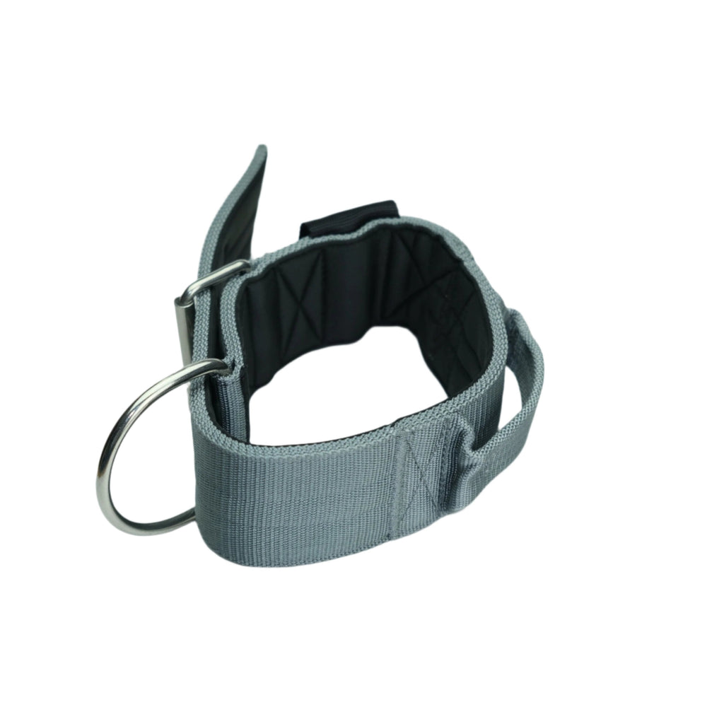 Grey sport dog collar with metal D-ring and black backing lining