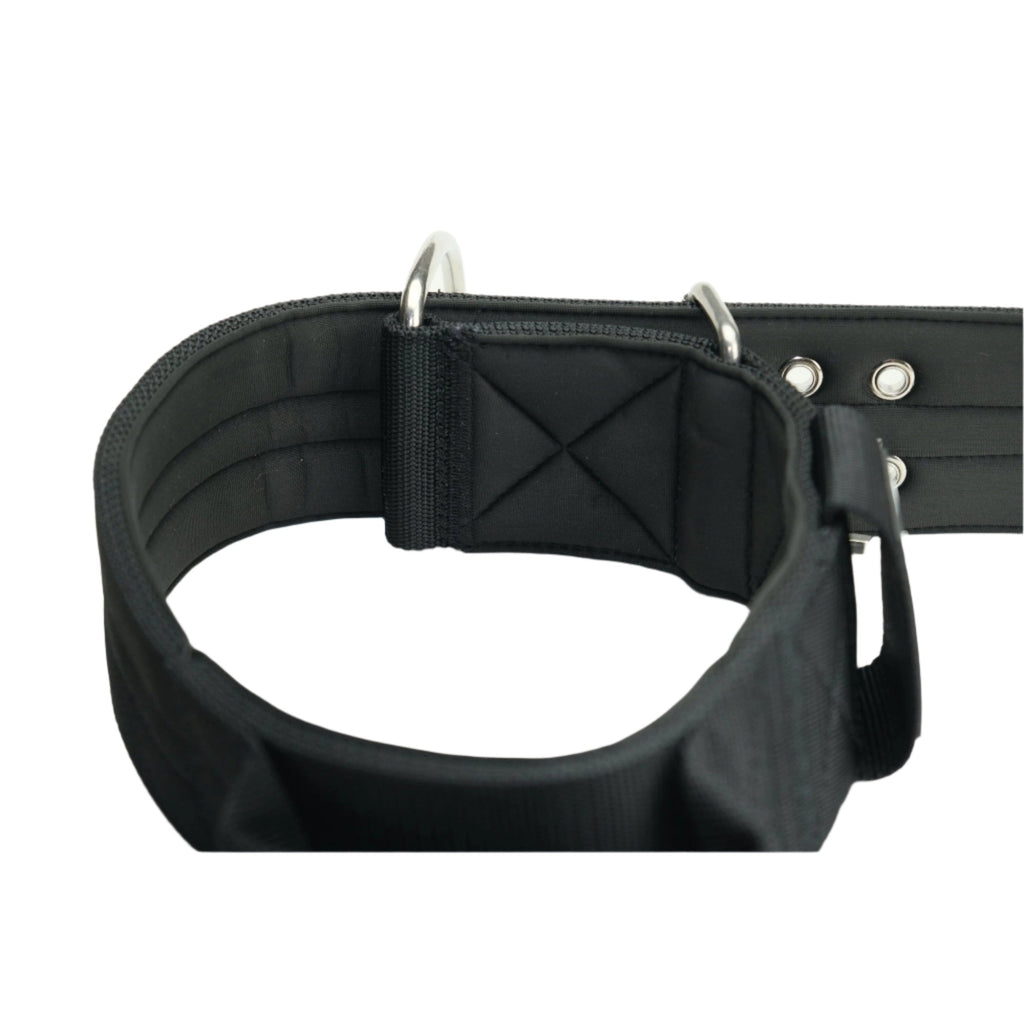 Black nylon dog collar with metal D-ring and buckle, studded with eyelets
