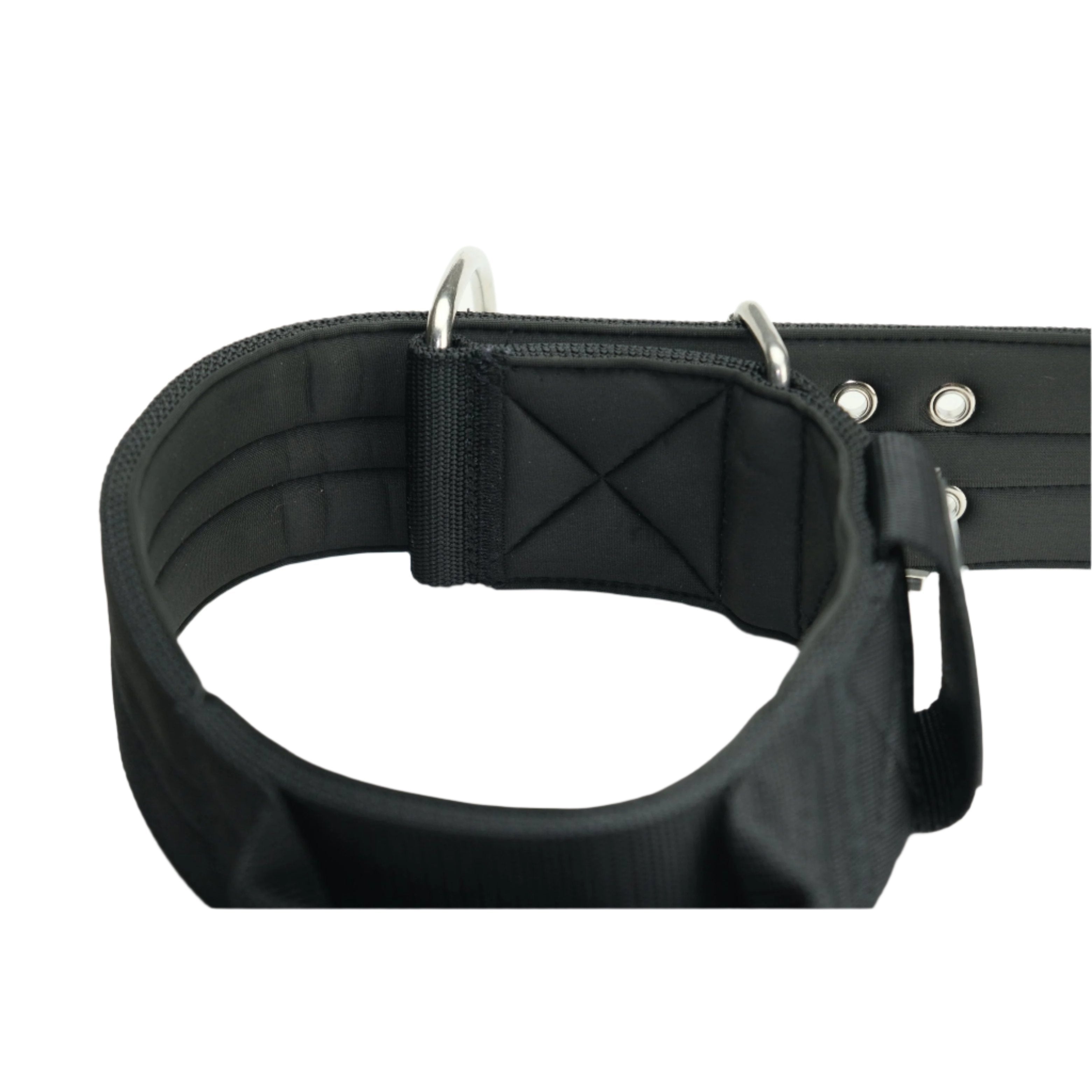 Black nylon dog collar with metal D-ring and buckle, studded with eyelets