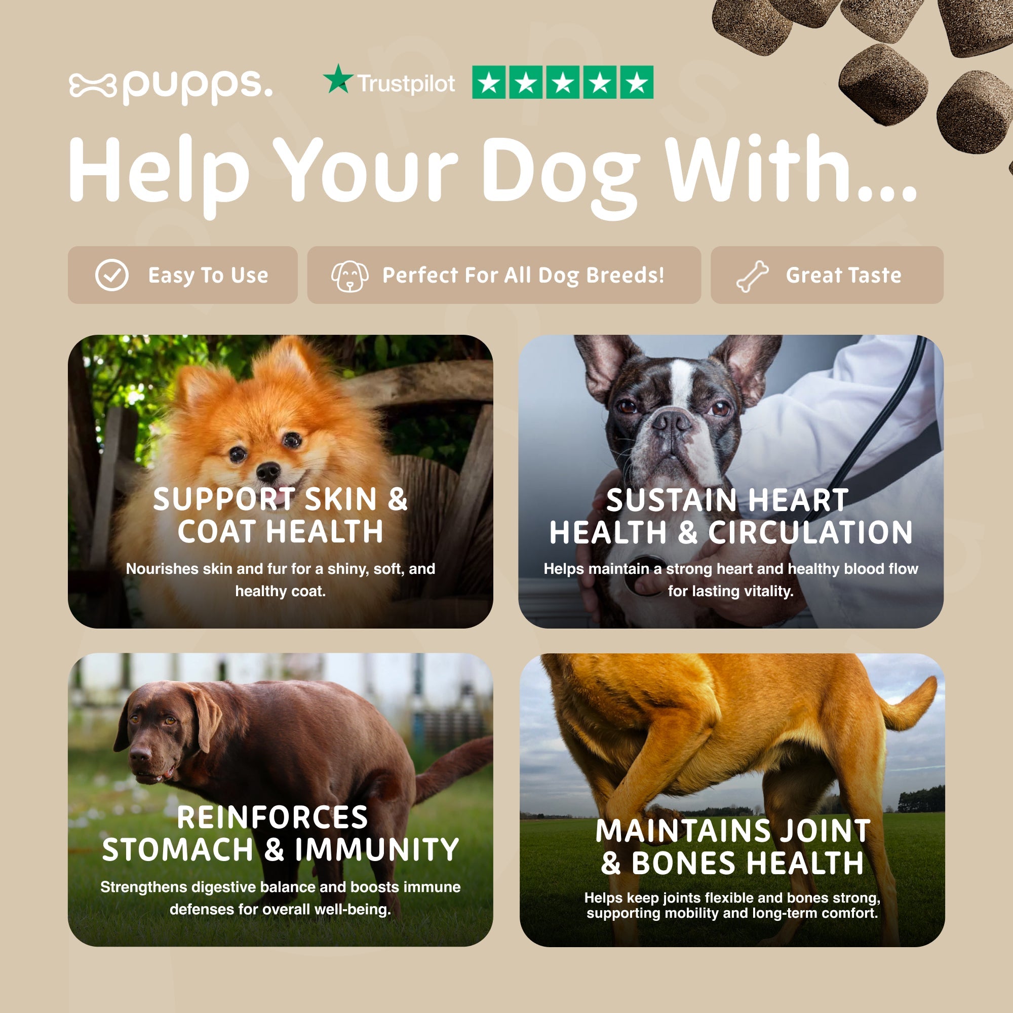 Multivitamin Treats