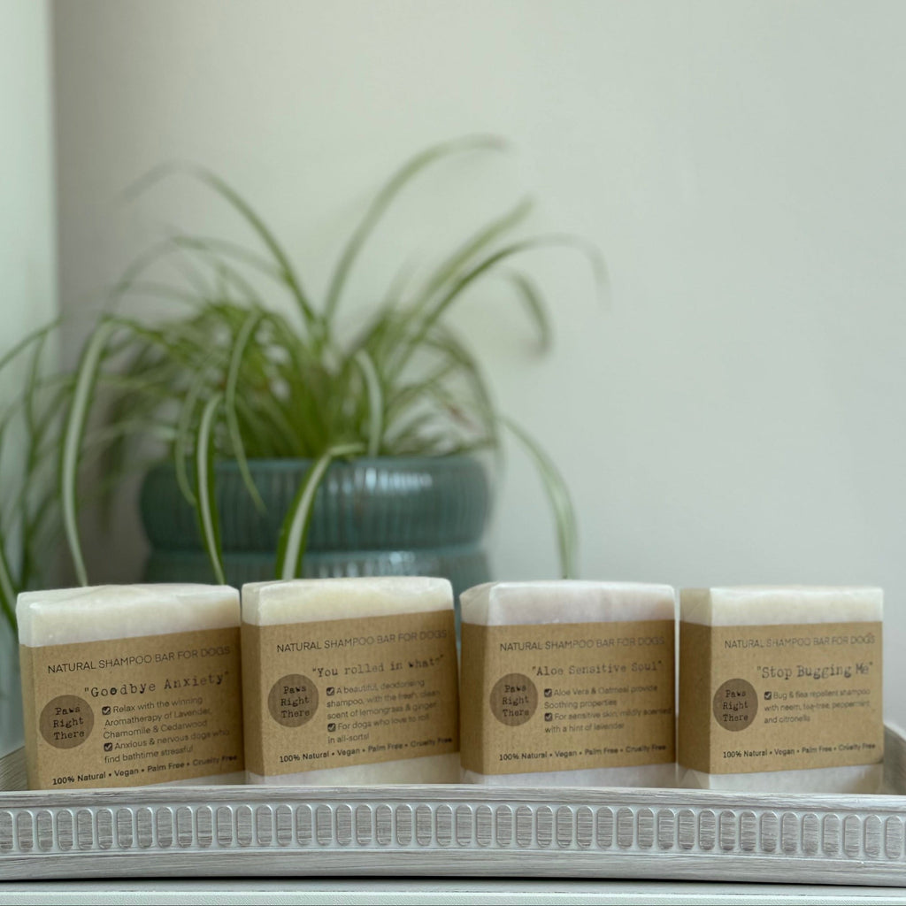 Set of tan natural dog shampoo bars with You rolled in what labels