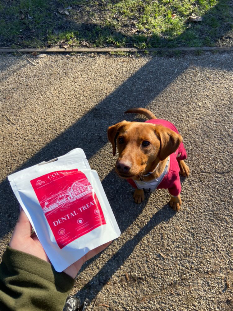 Country Barn Turkey Dental Bites | Activated Charcoal & Peppermint Dog Treats