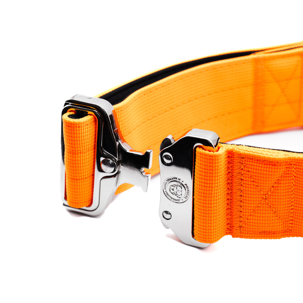 BTactical™ 5cm Tactical Dog Collar with Handle | Citrus Orange