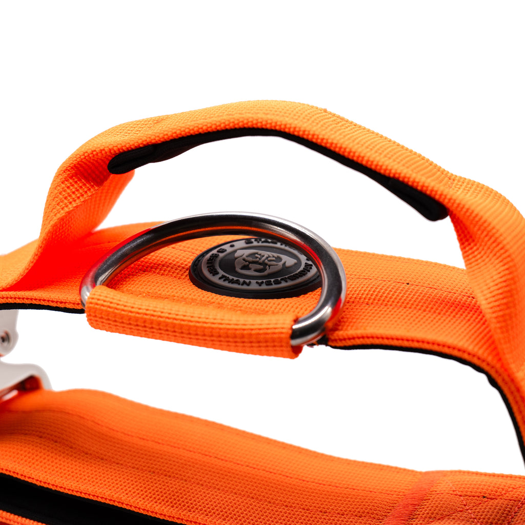 BTactical™ 5cm Tactical Dog Collar with Handle | Citrus Orange