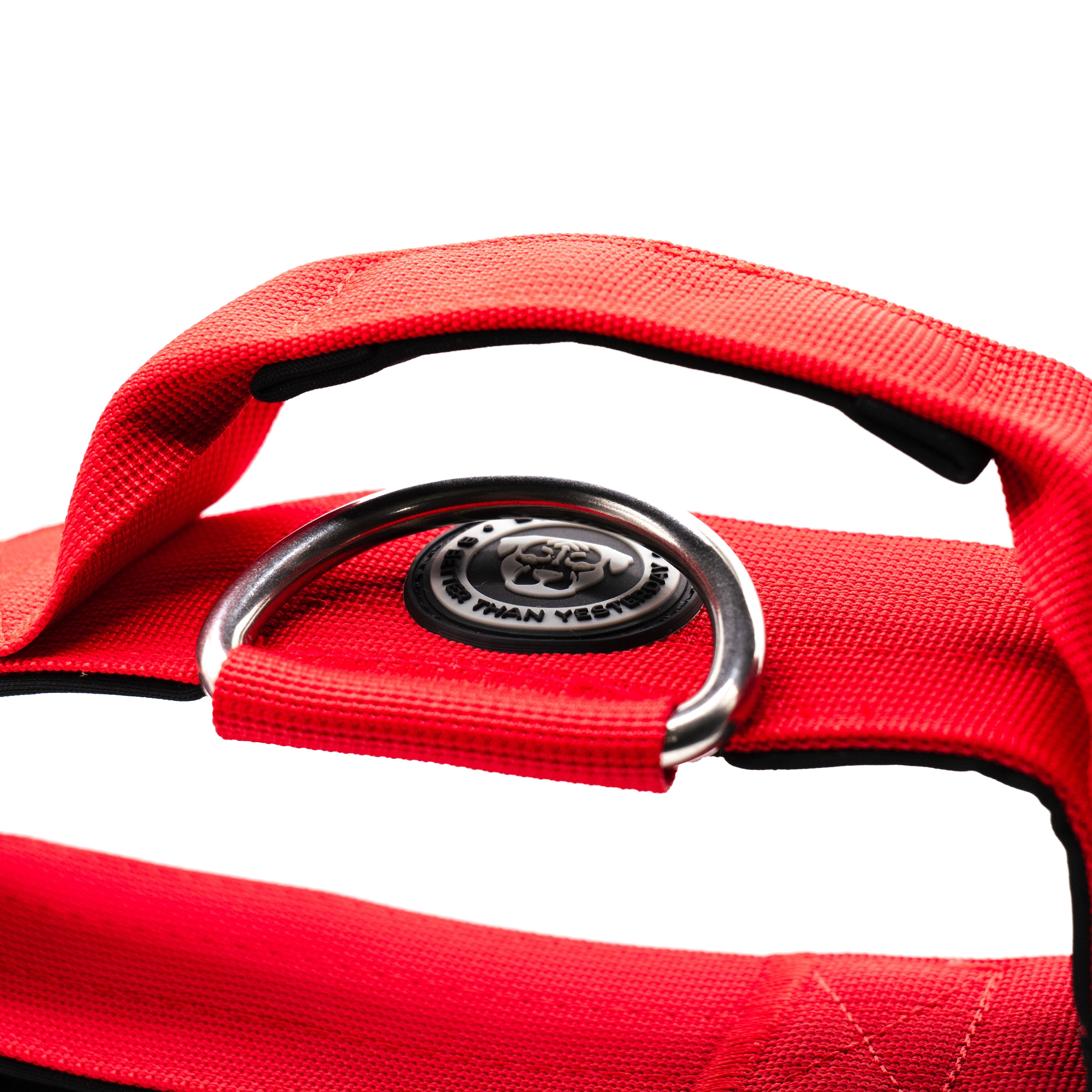 BTactical™ 5cm Tactical Dog Collar with Handle | Citrus Red