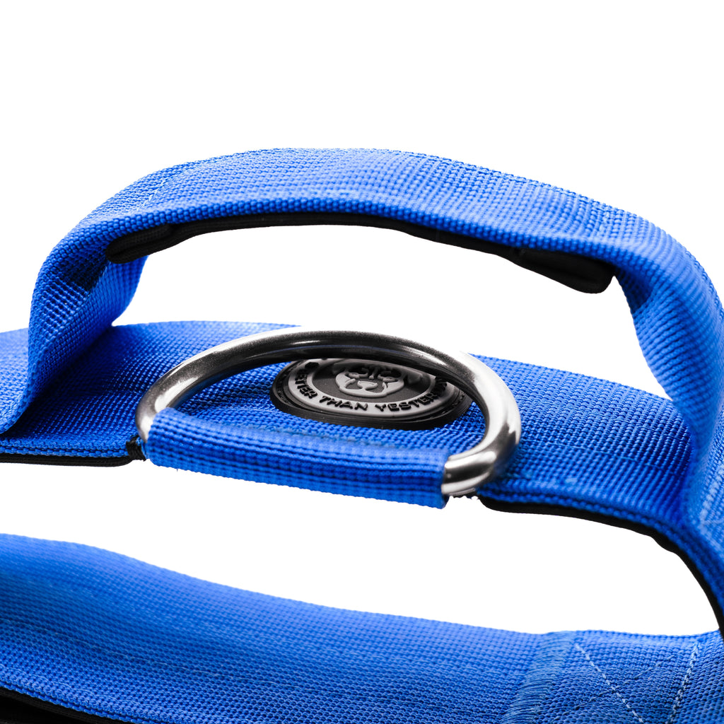 BTactical™ 5cm Tactical Dog Collar with Handle | Royal Blue