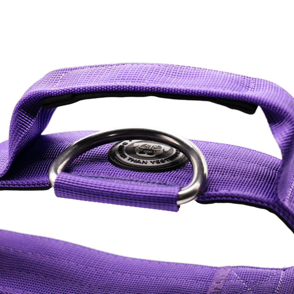 BTactical™ 5cm Tactical Dog Collar with Handle | Lavender Purple