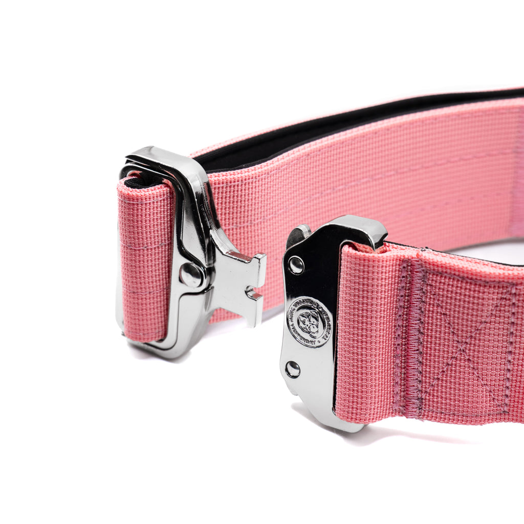 BTactical™ 5cm Tactical Dog Collar with Handle | Pretty Pink