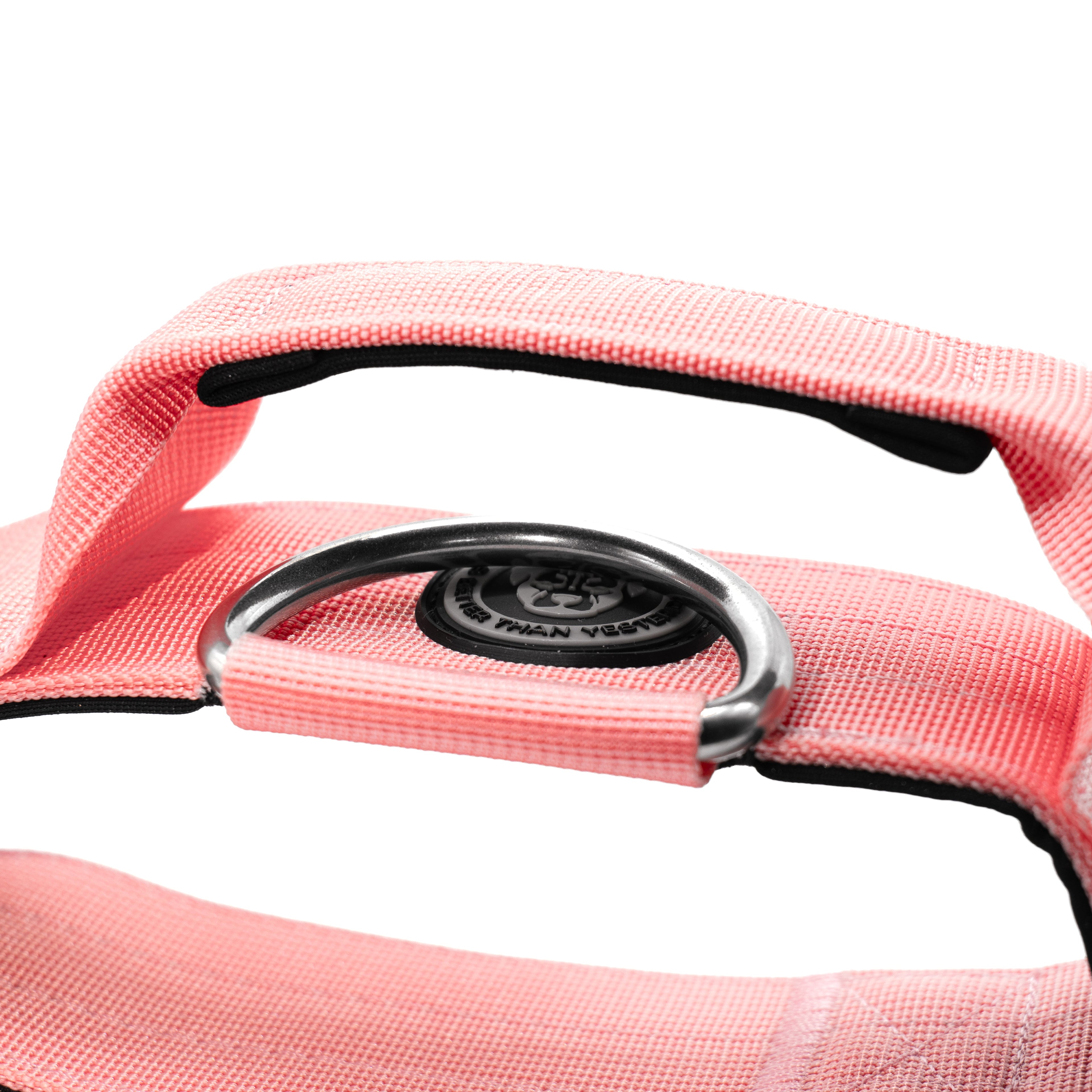 BTactical™ 5cm Tactical Dog Collar with Handle | Pretty Pink