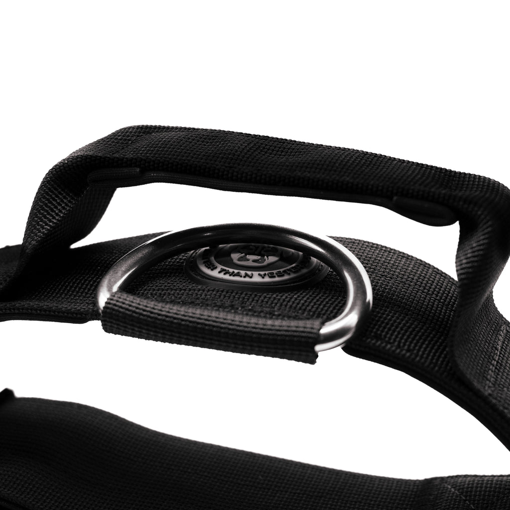 BTactical™ 5cm Tactical Dog Collar with Handle | Midnight Black