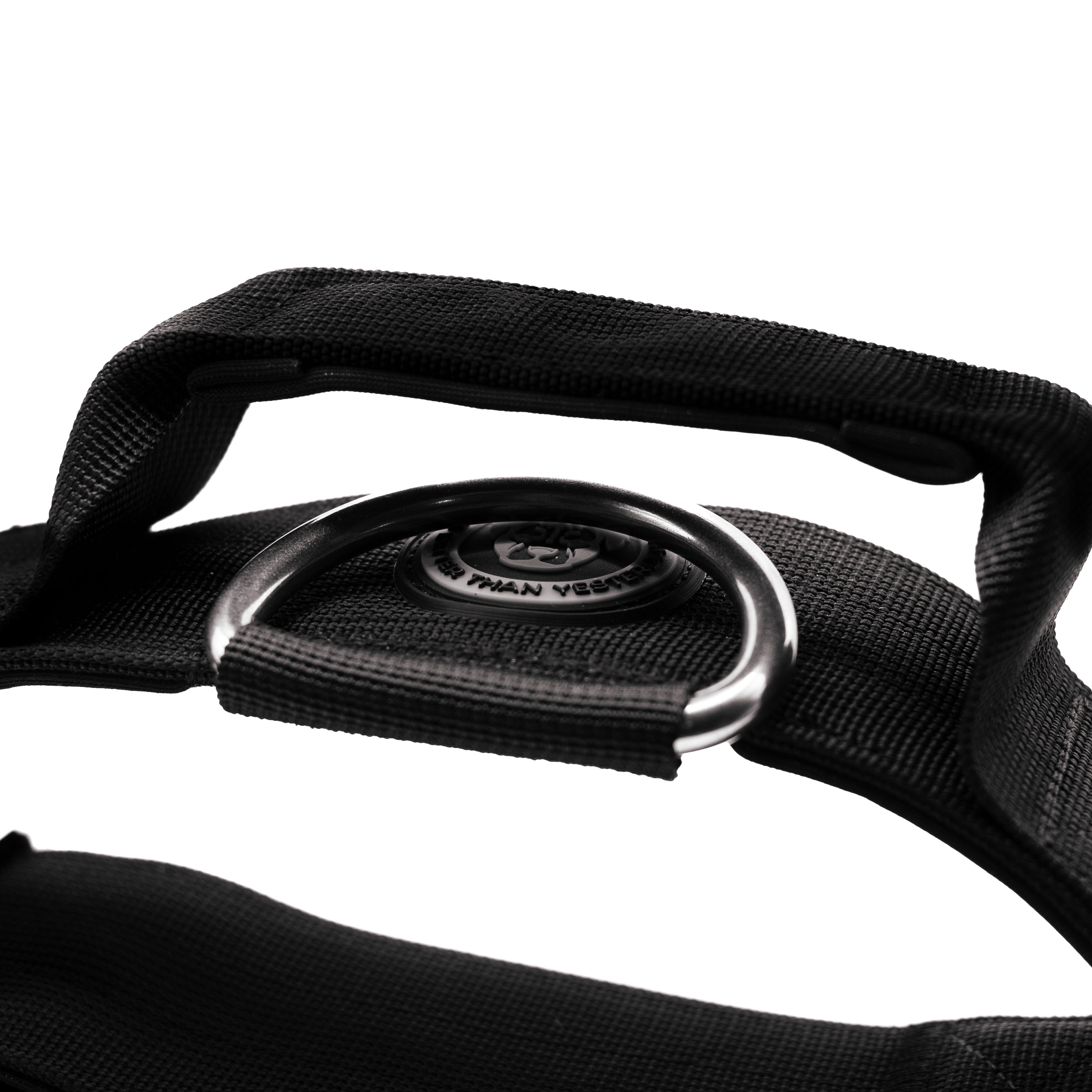 BTactical™ 5cm Tactical Dog Collar with Handle | Midnight Black