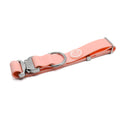 BTactical™ 4cm Waterproof PVC Dog Collar | Pastel Pink