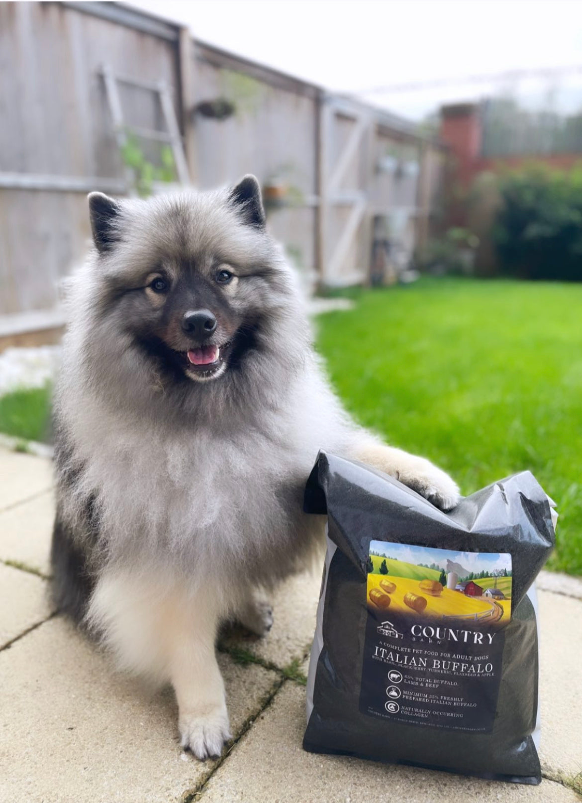 Country Barn Superfood Italian Buffalo with Basil, Blackberry, Turmeric, Flaxseed & Apple | Grain-Free Adult Dog Food