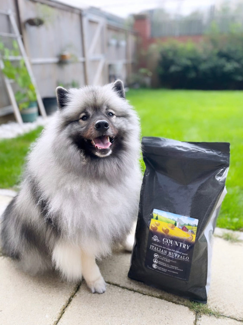 Country Barn Superfood Italian Buffalo with Basil, Blackberry, Turmeric, Flaxseed & Apple | Grain-Free Adult Dog Food