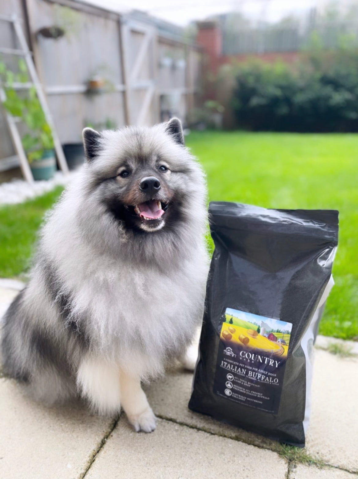 Country Barn Superfood Italian Buffalo with Basil, Blackberry, Turmeric, Flaxseed & Apple | Grain-Free Adult Dog Food