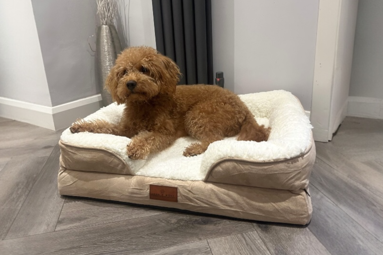 The Belgravia Orthopaedic Dog Sofa™ - Medium