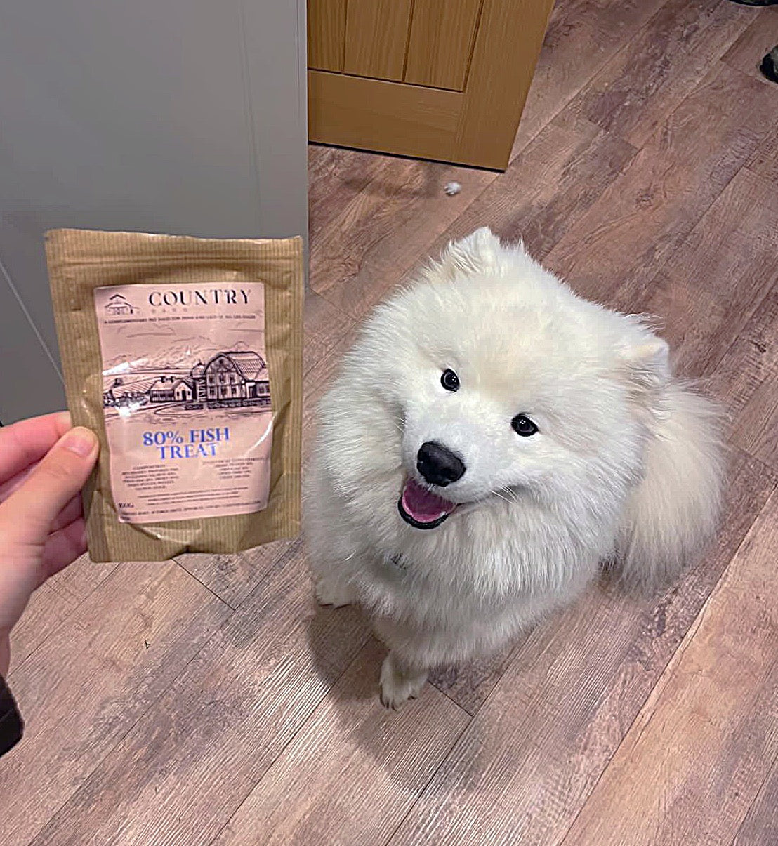 80% Salmon, Trout & White Fish High-Protein Dog Treats | 100g & 500g