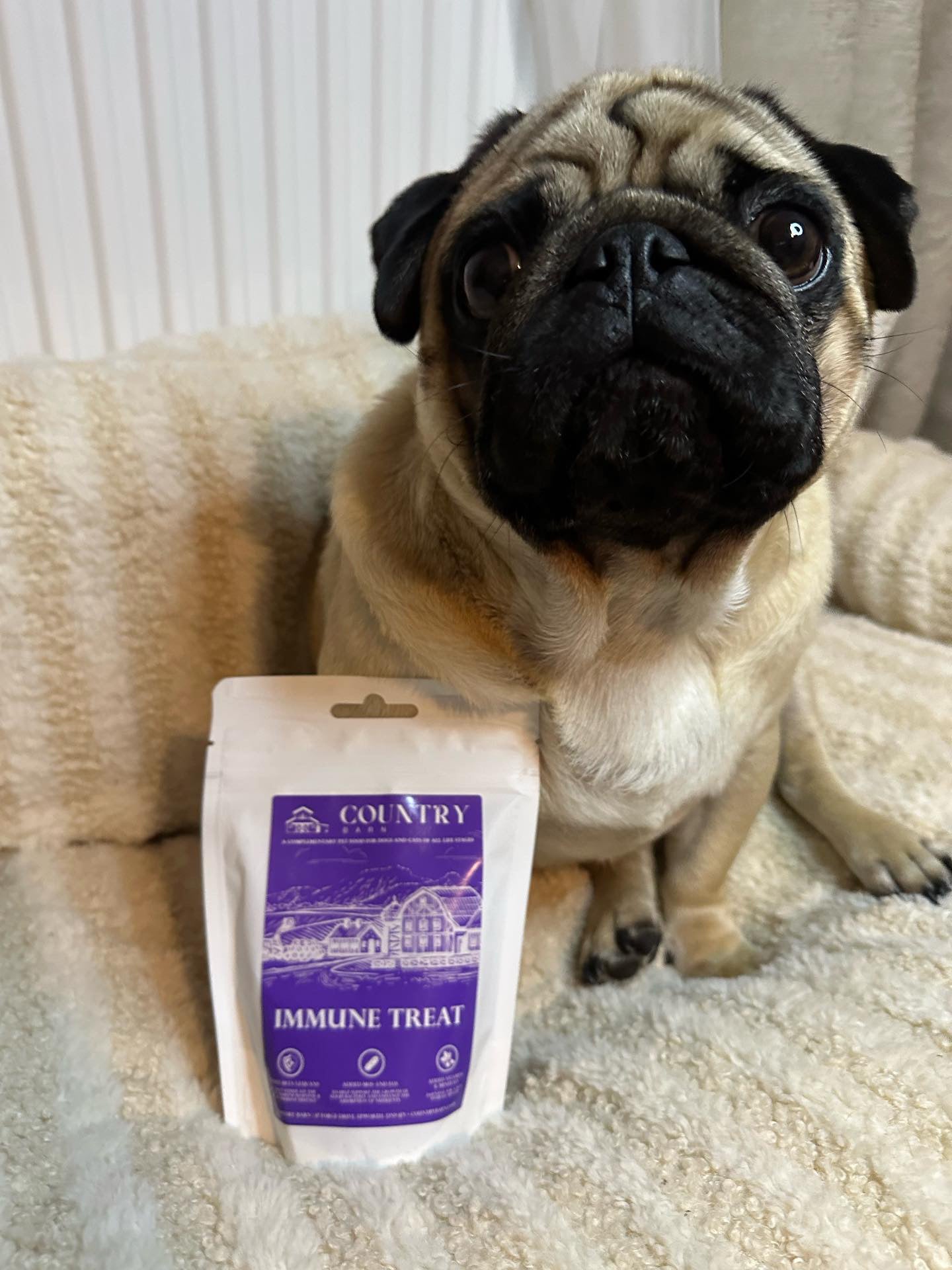 Immune Boost Bites | Duck & Chicken Dog Treats with Beta Glucans, Nucleotides & Vitamins