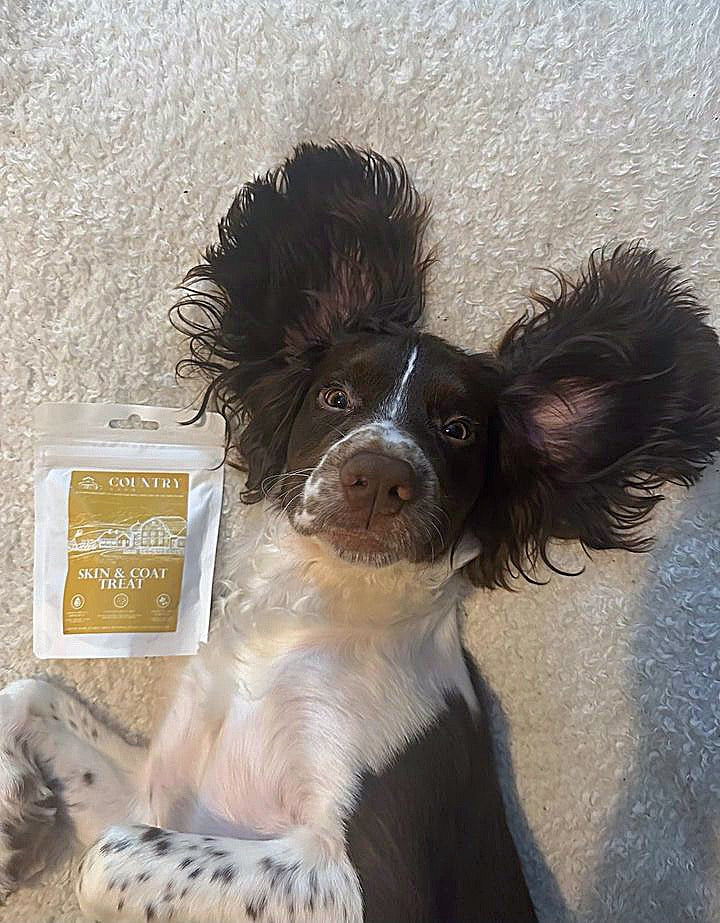 Skin & Coat Boost Chicken Dog Treats | Omega-3, Zinc & Biotin for a Healthy, Shiny Coat