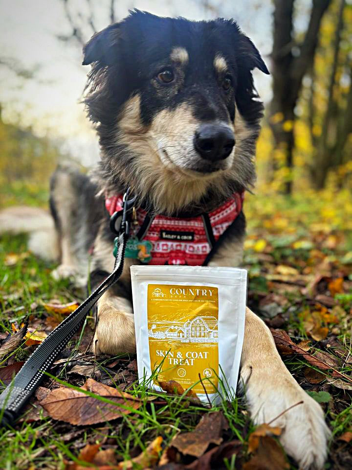 Skin & Coat Boost Chicken Dog Treats | Omega-3, Zinc & Biotin for a Healthy, Shiny Coat