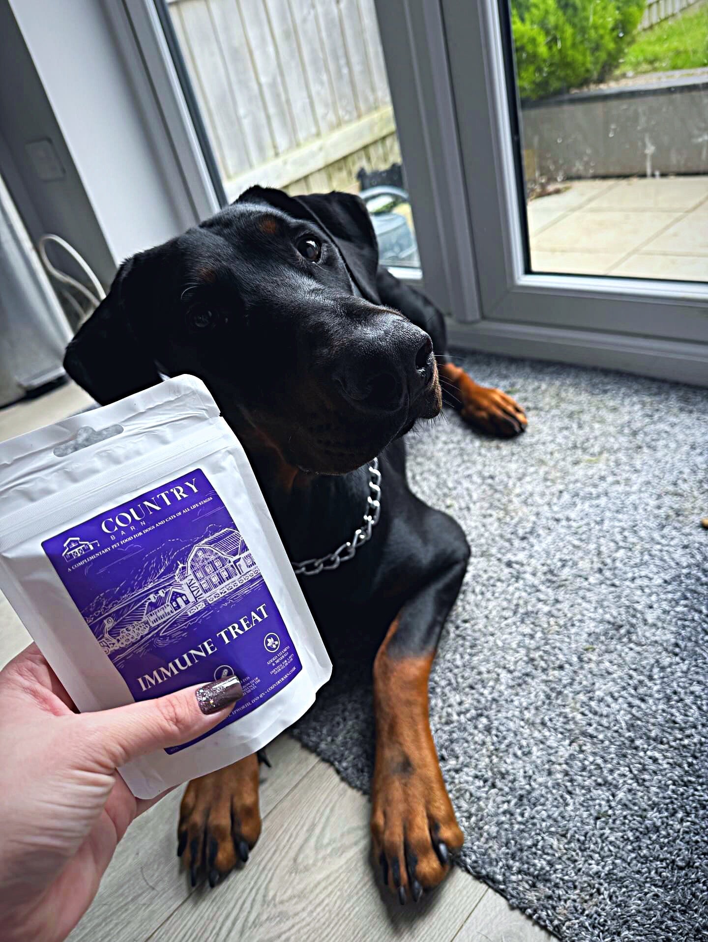 Immune Boost Bites | Duck & Chicken Dog Treats with Beta Glucans, Nucleotides & Vitamins