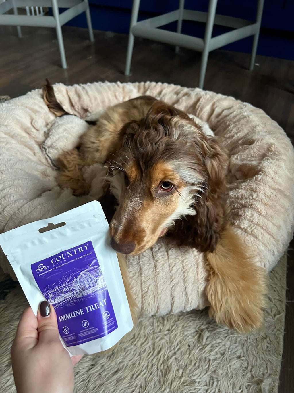 Immune Boost Bites | Duck & Chicken Dog Treats with Beta Glucans, Nucleotides & Vitamins