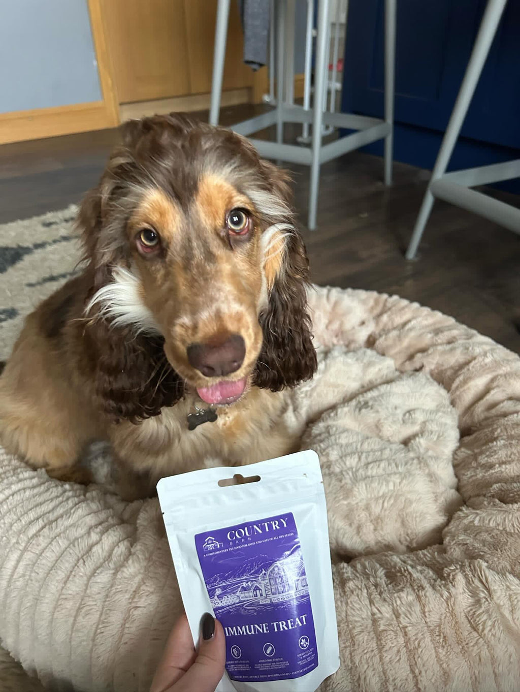 Immune Boost Bites | Duck & Chicken Dog Treats with Beta Glucans, Nucleotides & Vitamins