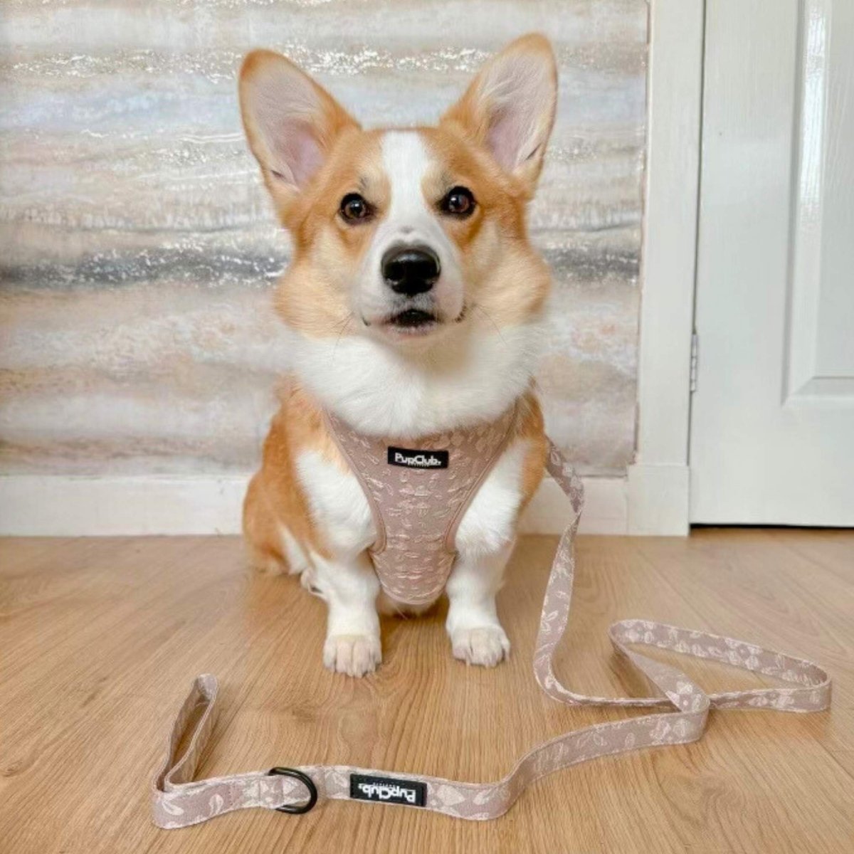 Toffee Latte Petals Luxe Adjustable Dog Harness | Embroidered Floral