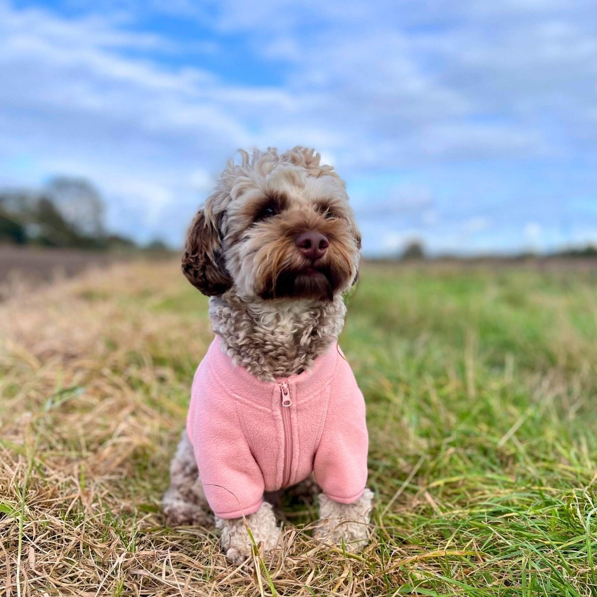 Dog fleece coat, pale pink, full-zip front with stand collar