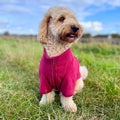 Berry red fleece dog coat with front zipper and stand collar