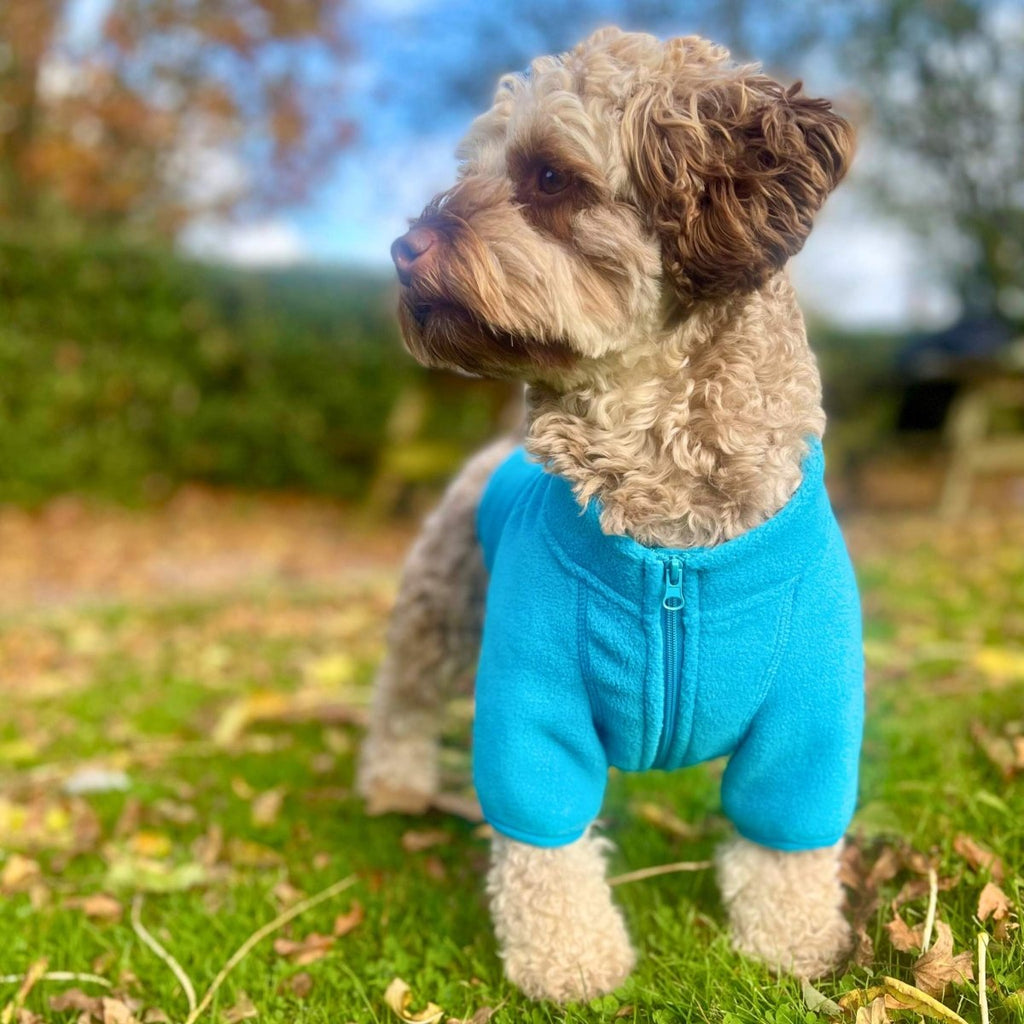Dog fleece coat, bright blue with front zipper