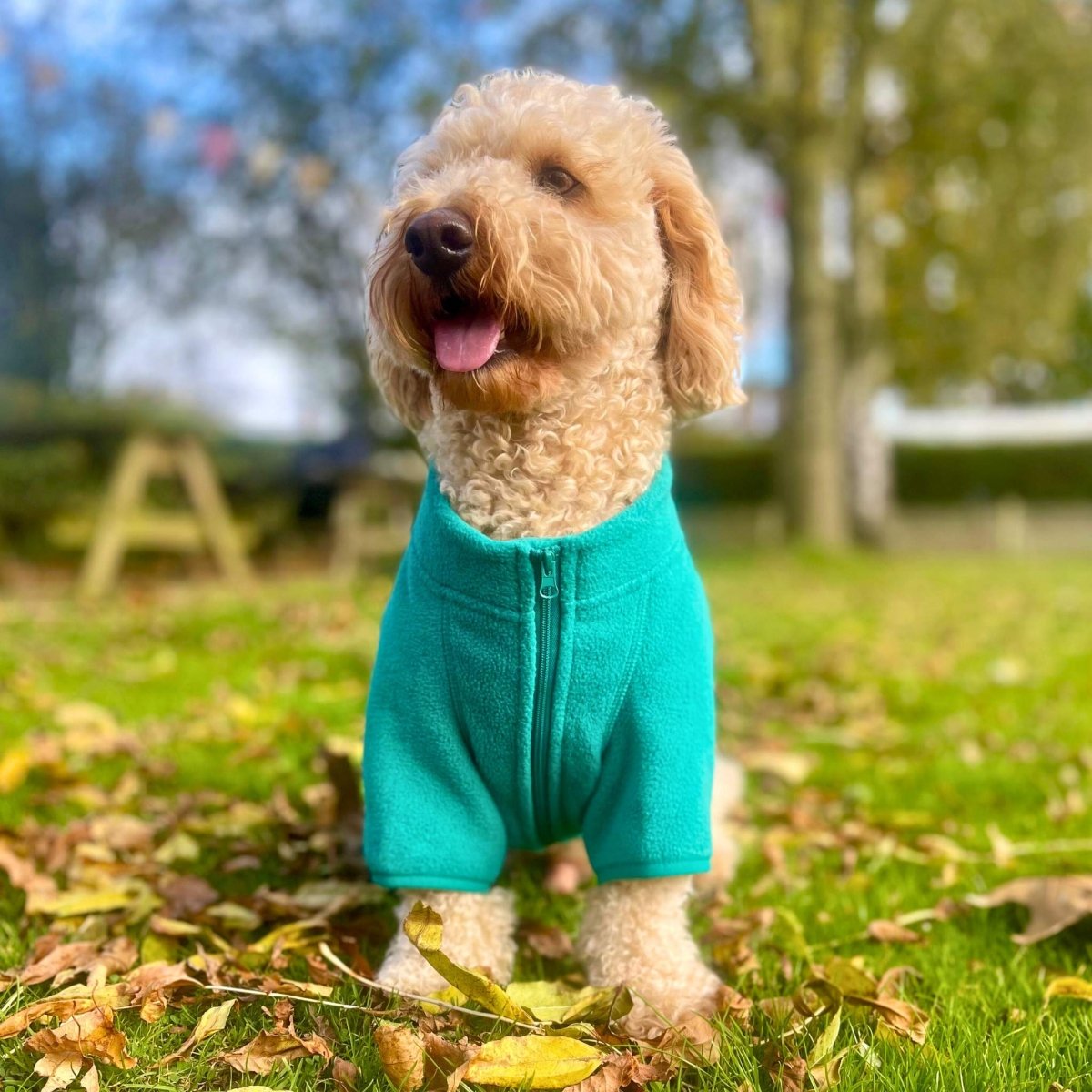 Outdoor Dog Fleece Coat – Green | Water Resistant Full-Zip | PupClub Couture