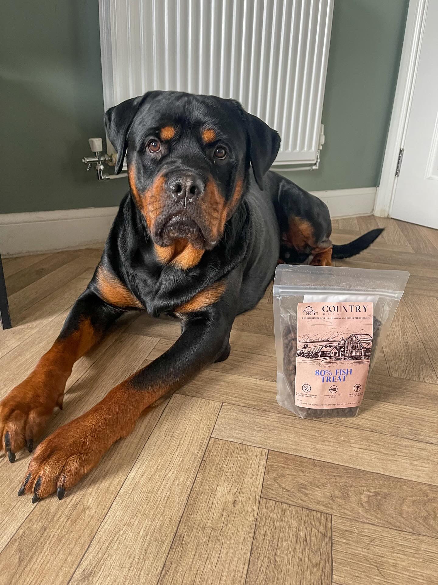 80% Salmon, Trout & White Fish High-Protein Dog Treats | 100g & 500g