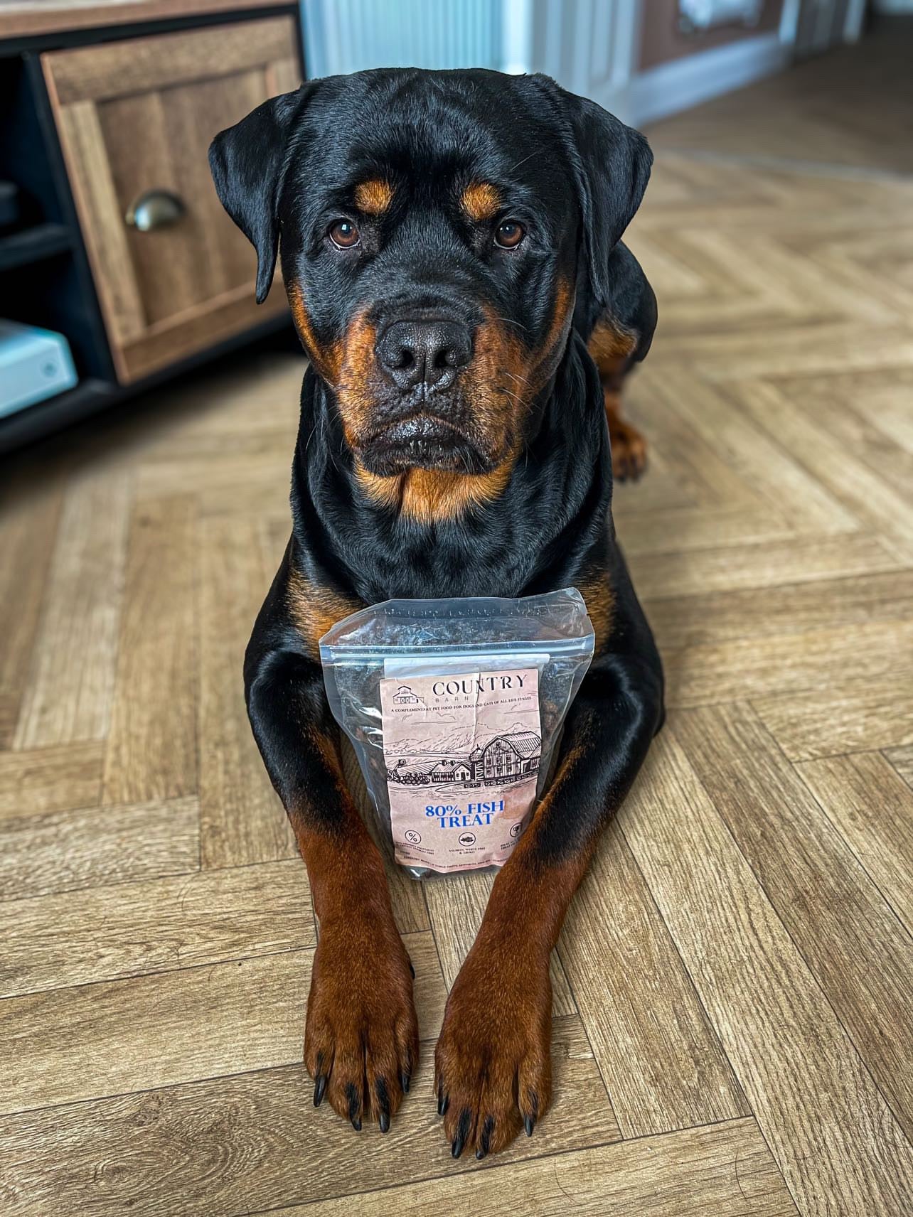 80% Salmon, Trout & White Fish High-Protein Dog Treats | 100g & 500g