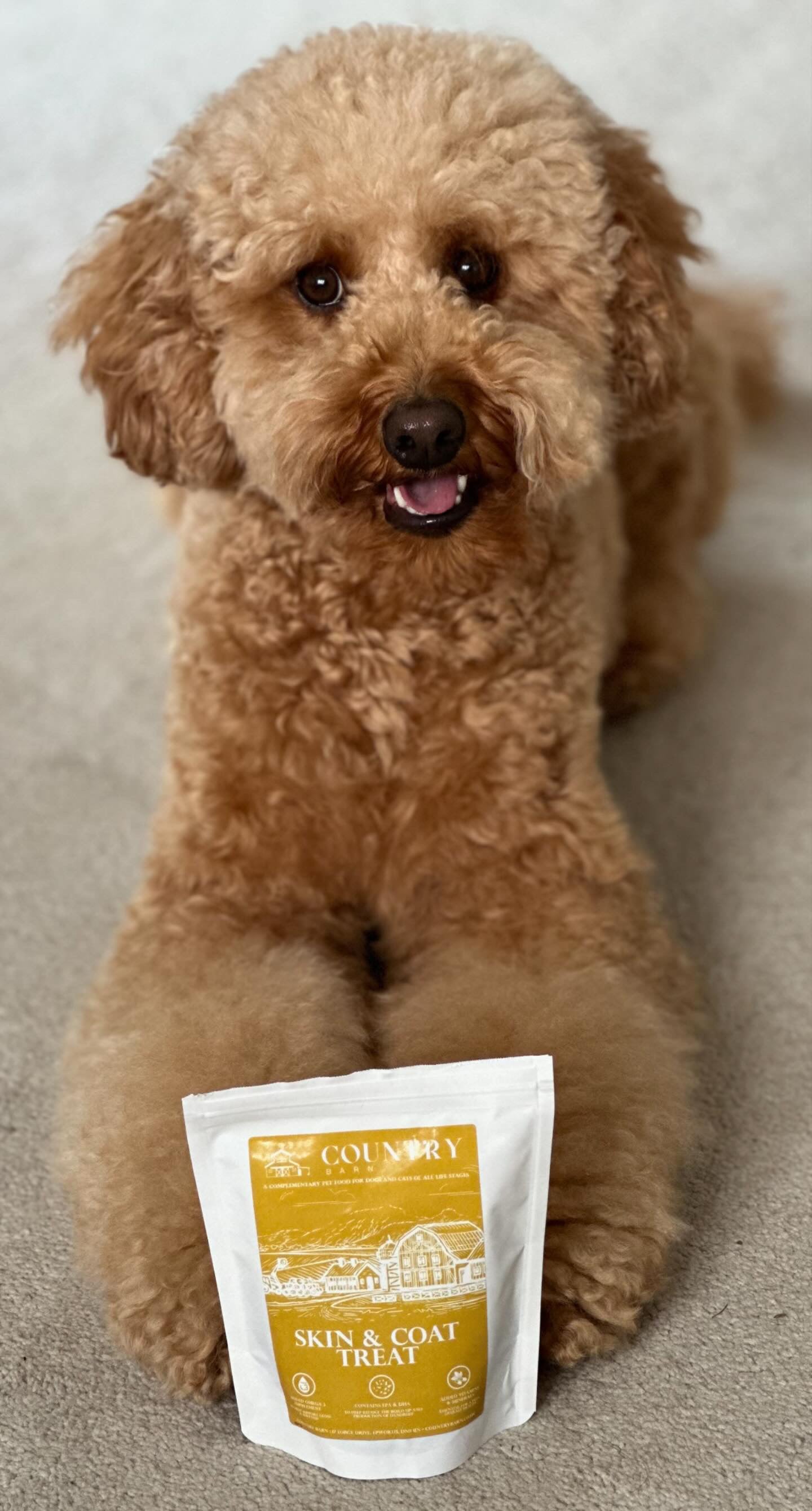 Skin & Coat Boost Chicken Dog Treats | Omega-3, Zinc & Biotin for a Healthy, Shiny Coat