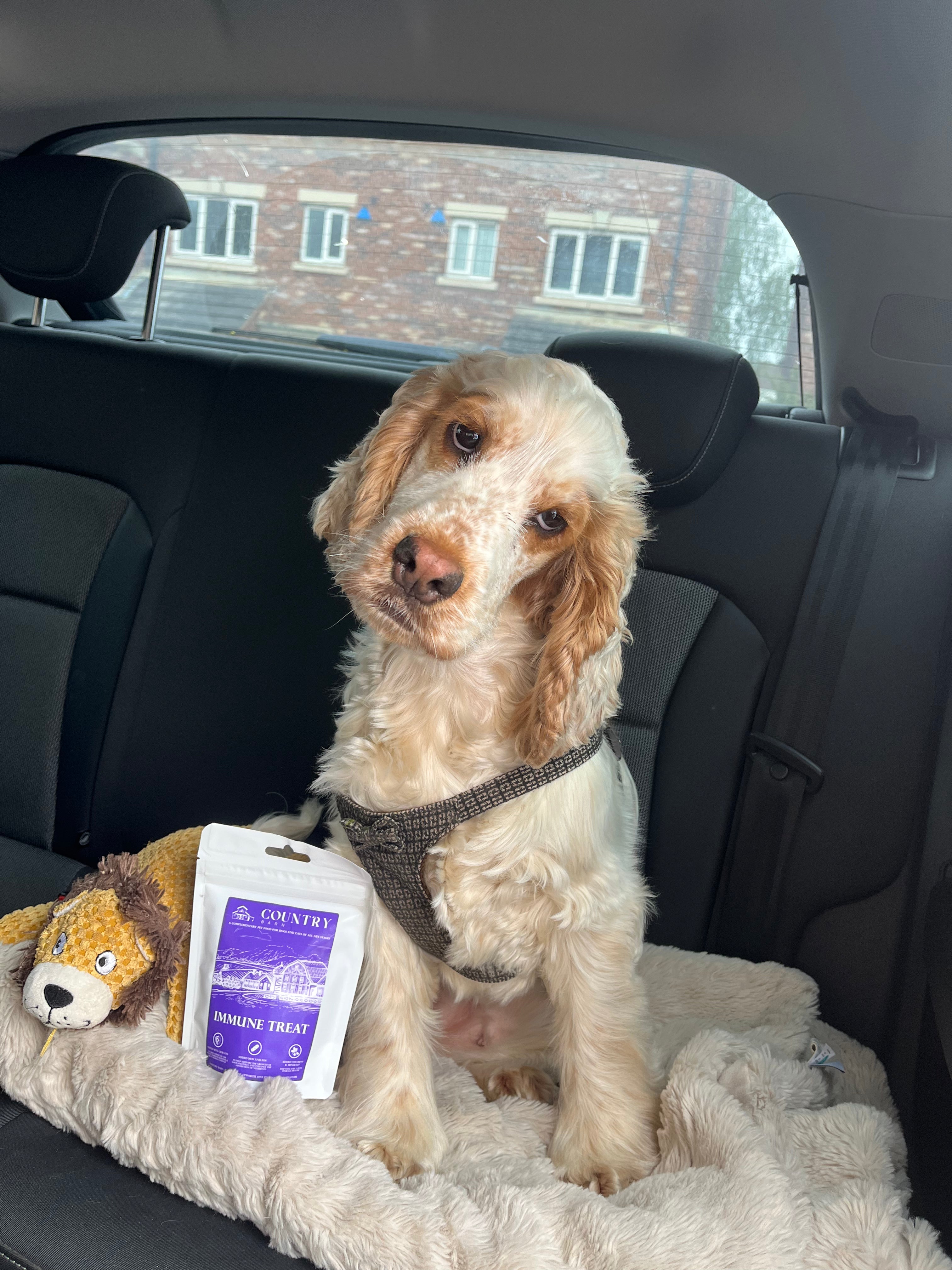 Immune Boost Bites | Duck & Chicken Dog Treats with Beta Glucans, Nucleotides & Vitamins