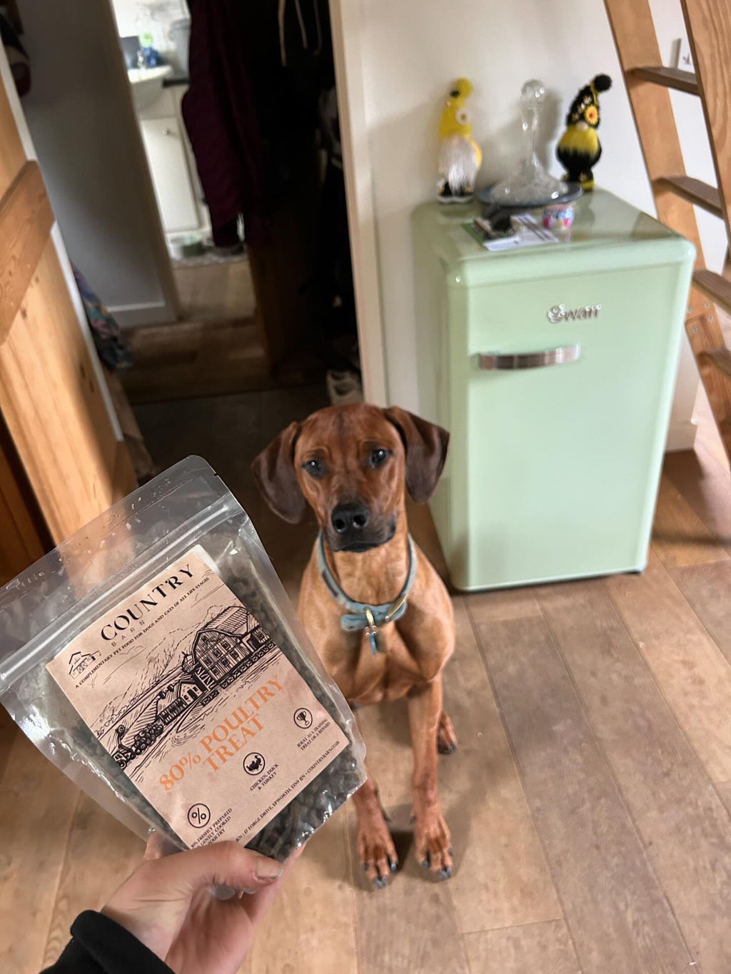 Country Barn Chicken, Duck & Turkey Dog Treats | 80% Freshly Prepared Poultry