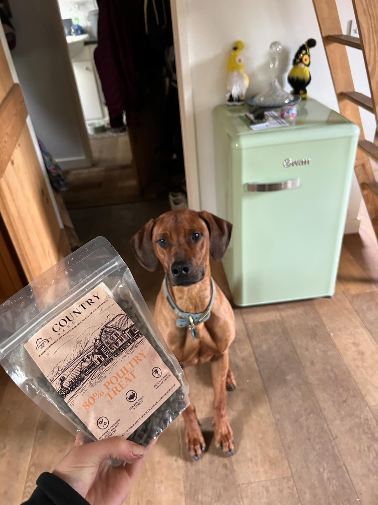 Country Barn Chicken, Duck & Turkey Dog Treats | 80% Freshly Prepared Poultry