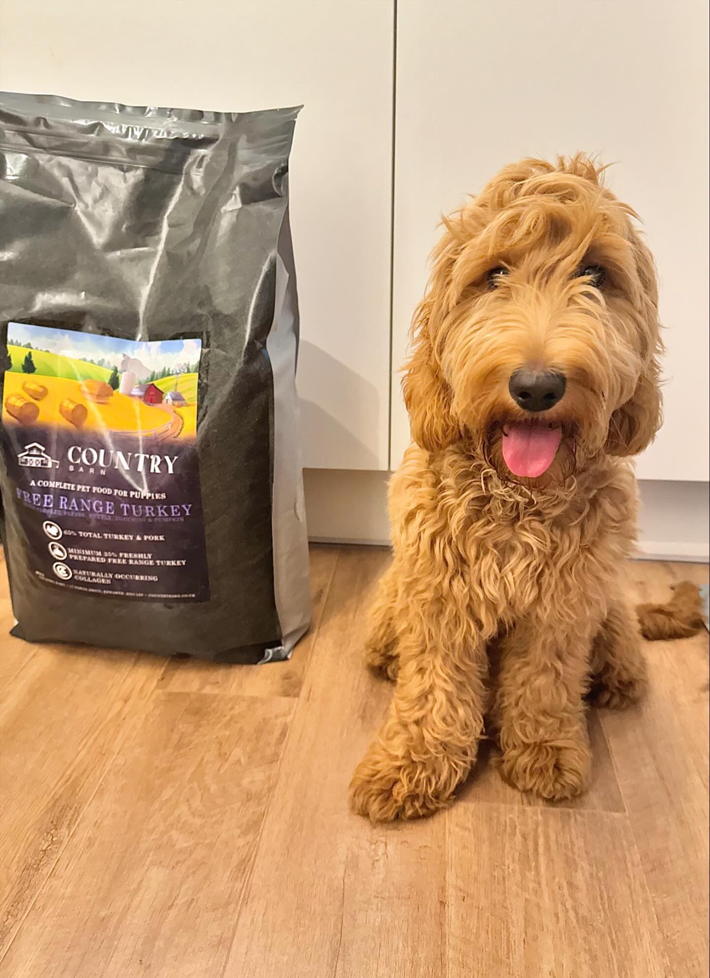 Country Barn Superfood Free-Range Turkey & Pork with Parsley, Papaya, Nettle, Zucchini & Pumpkin | Grain-Free Puppy Food