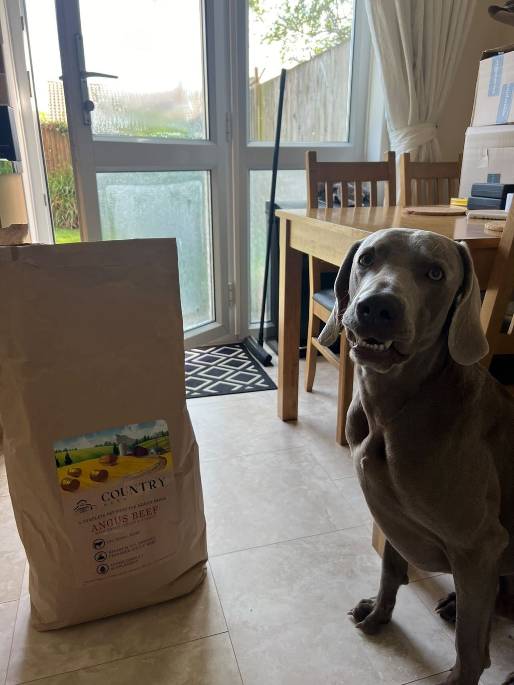 Grain Free Angus Beef & Carrot with Sweet Potato Dry Dog Food | Adult Dogs