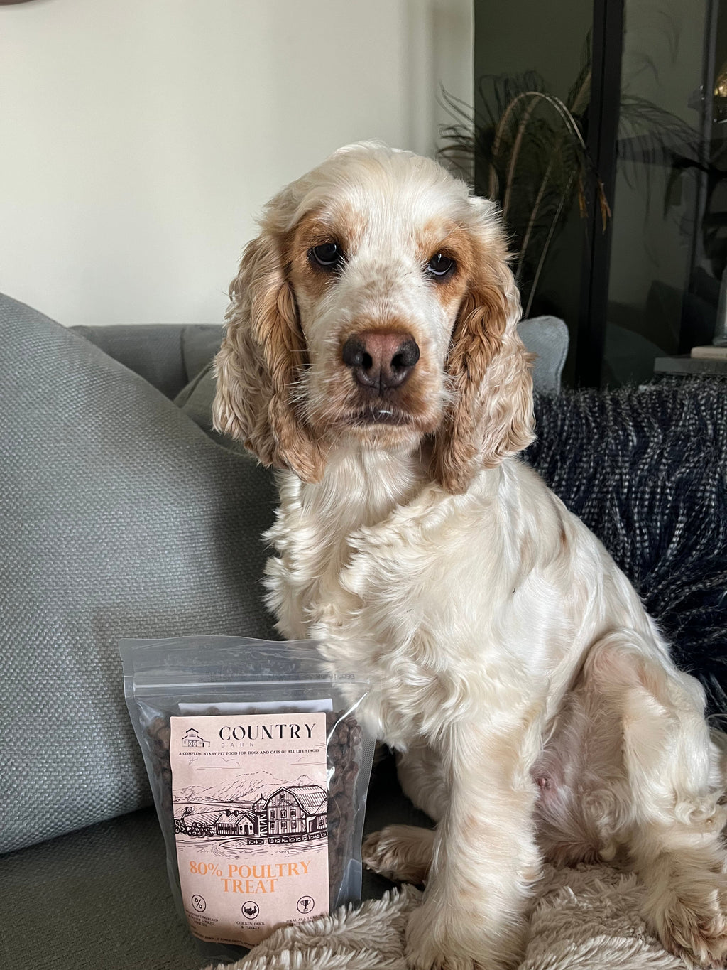 Country Barn Chicken, Duck & Turkey Dog Treats | 80% Freshly Prepared Poultry