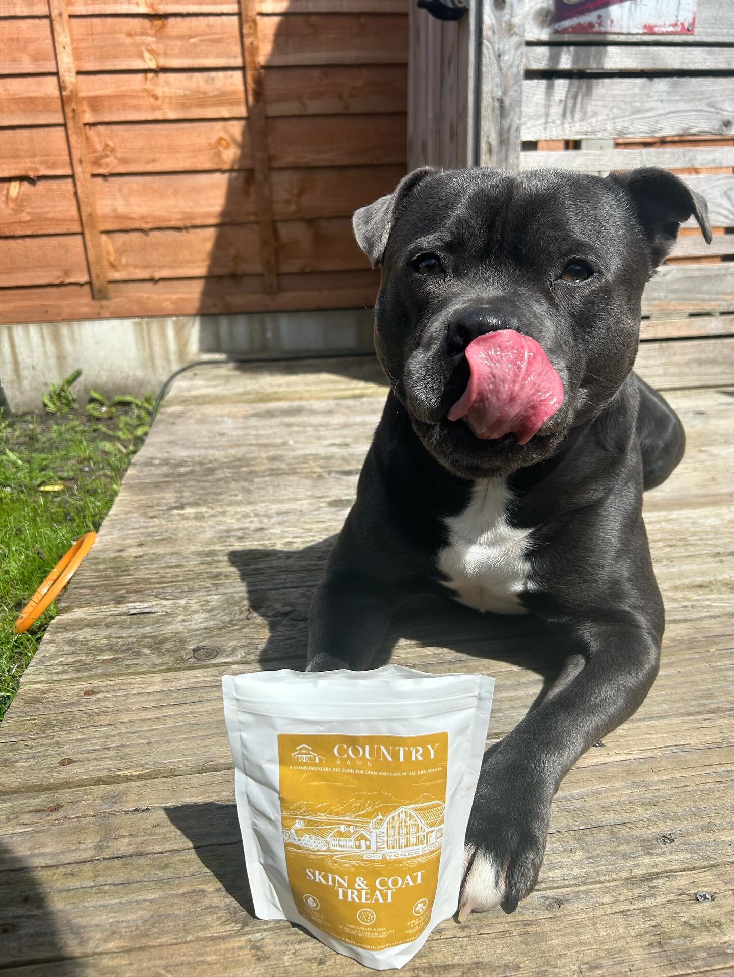 Skin & Coat Boost Chicken Dog Treats | Omega-3, Zinc & Biotin for a Healthy, Shiny Coat