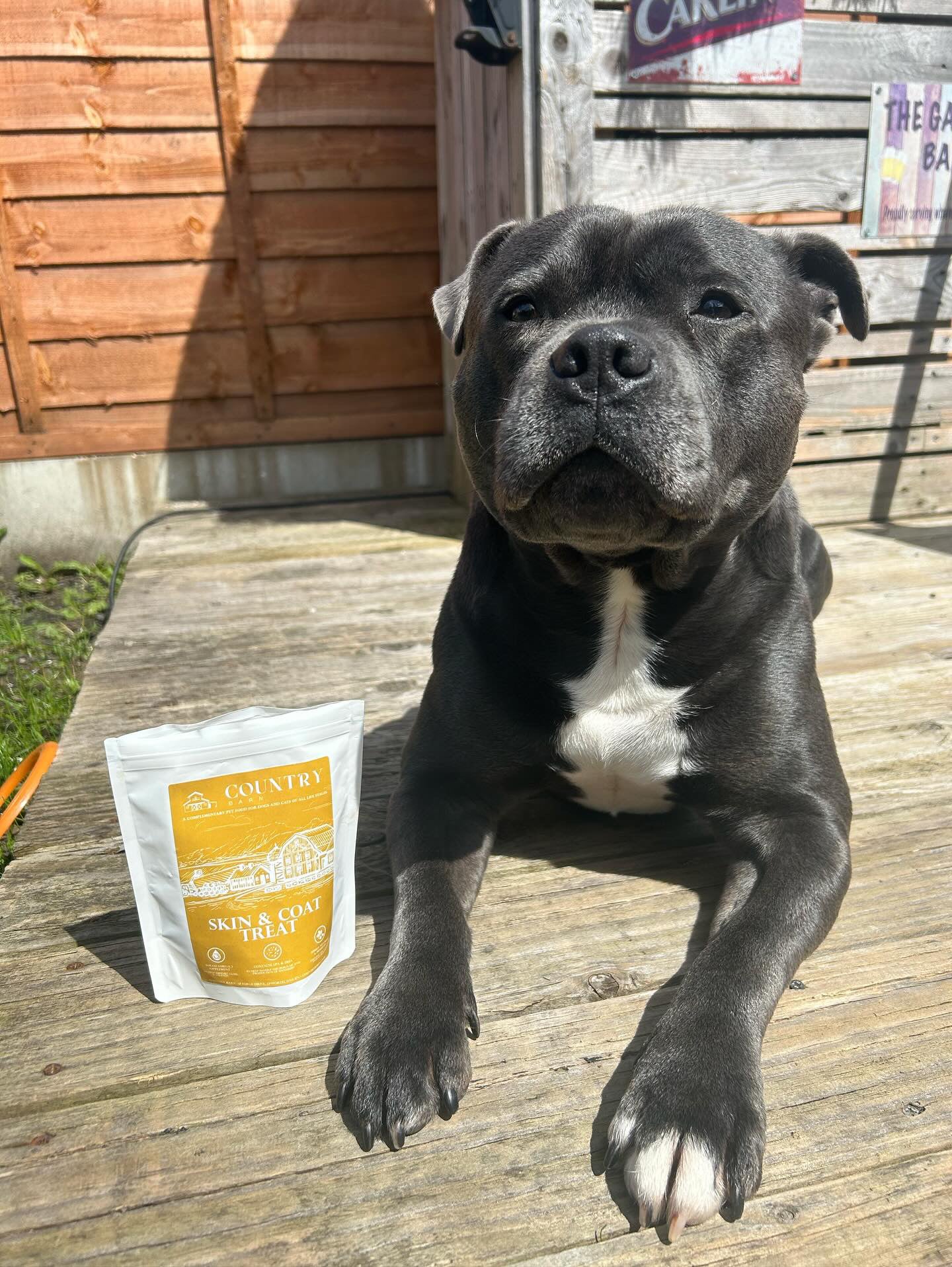 Skin & Coat Boost Chicken Dog Treats | Omega-3, Zinc & Biotin for a Healthy, Shiny Coat