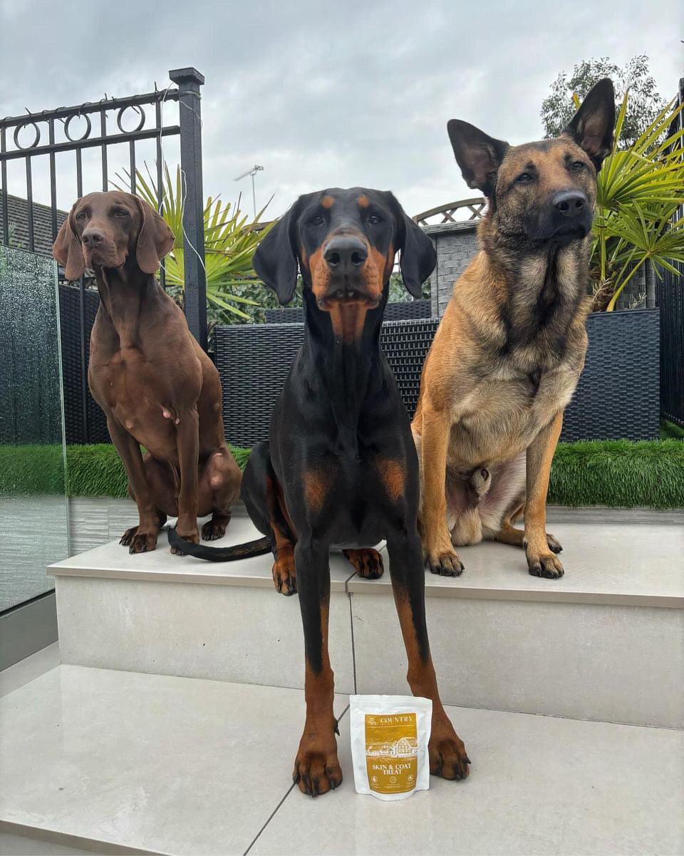 Skin & Coat Boost Chicken Dog Treats | Omega-3, Zinc & Biotin for a Healthy, Shiny Coat